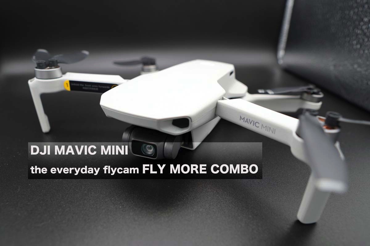 Mavic Mini マビックミニ レビュー 航空法制限無しで飛ばせる超軽量ドローン 小型ゆえに風に弱い